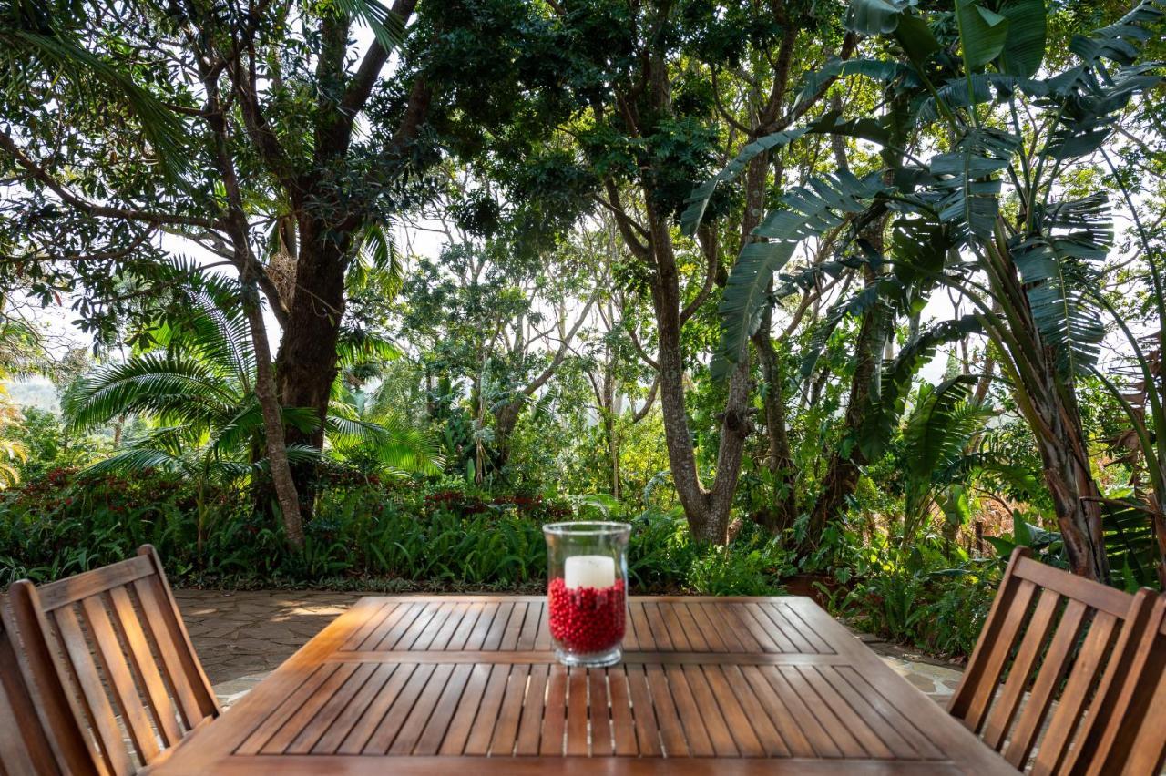Zesty Guesthouse 爱德华港 外观 照片